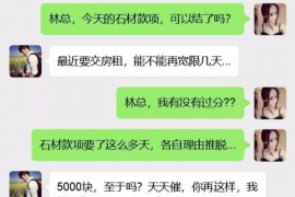 寿宁债务清欠服务